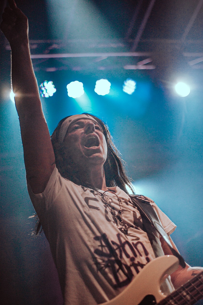 singer, concert, rock-7229803.jpg